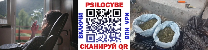 Псилоцибиновые грибы мицелий  hydra рабочий сайт  Ковылкино 